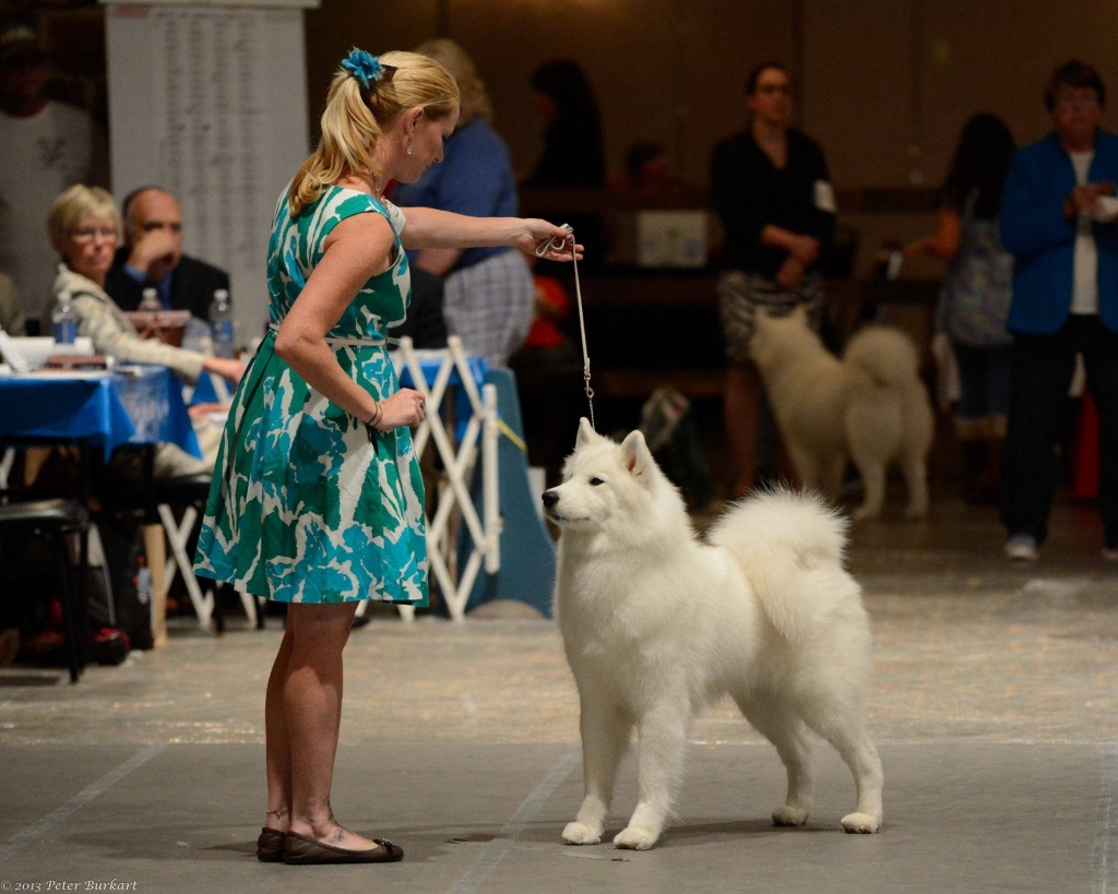 Heather & Penny at Nationals 2013